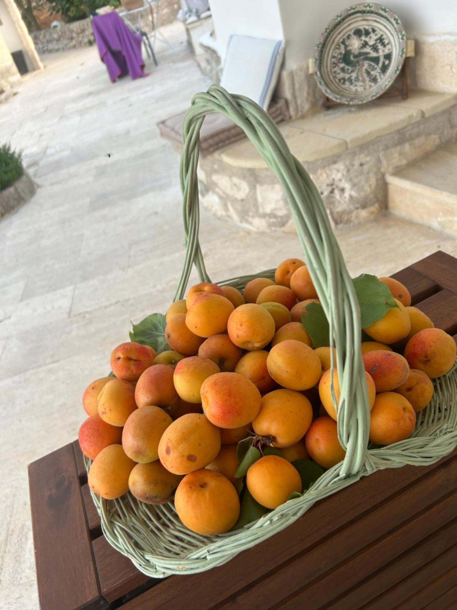 Bed and Breakfast Il Trullo Di Simona Locorotondo Exterior foto