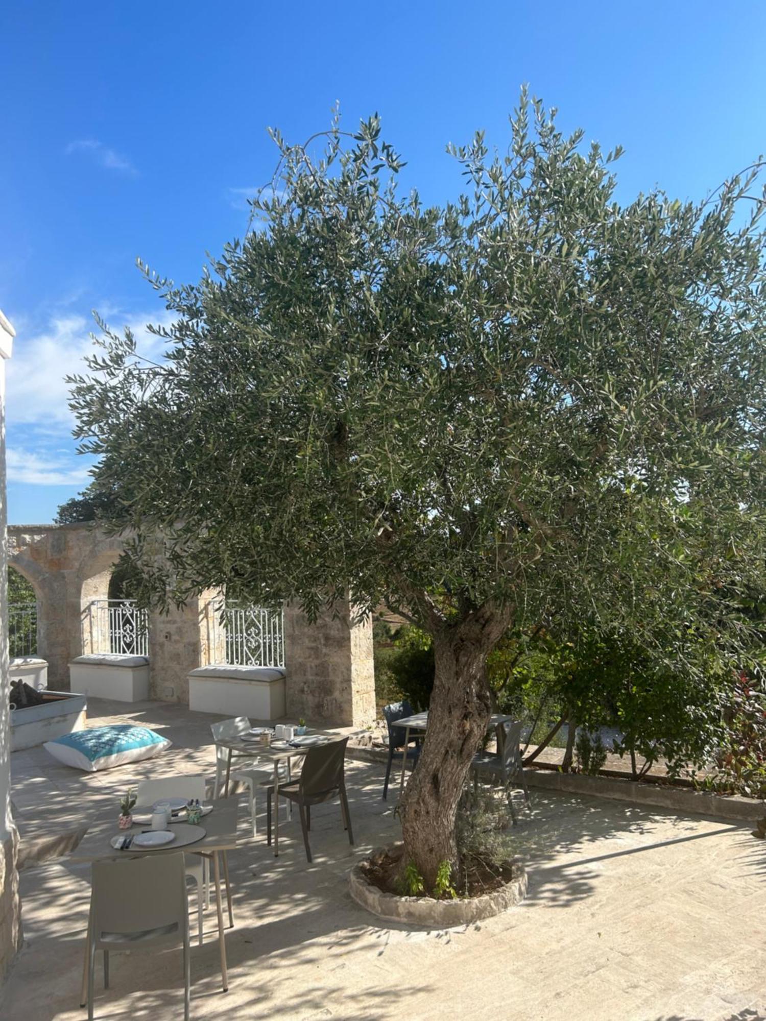 Bed and Breakfast Il Trullo Di Simona Locorotondo Exterior foto